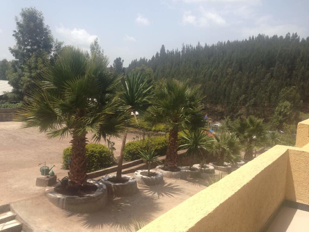 Joamla Hotel Desē 外观 照片